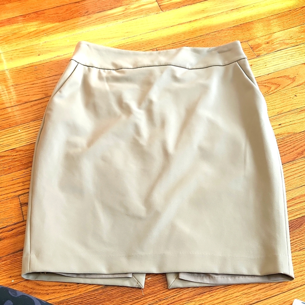 Express Pencil Skirt